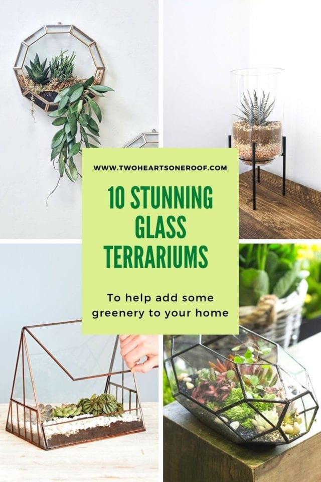 10 stunning glass terrariums