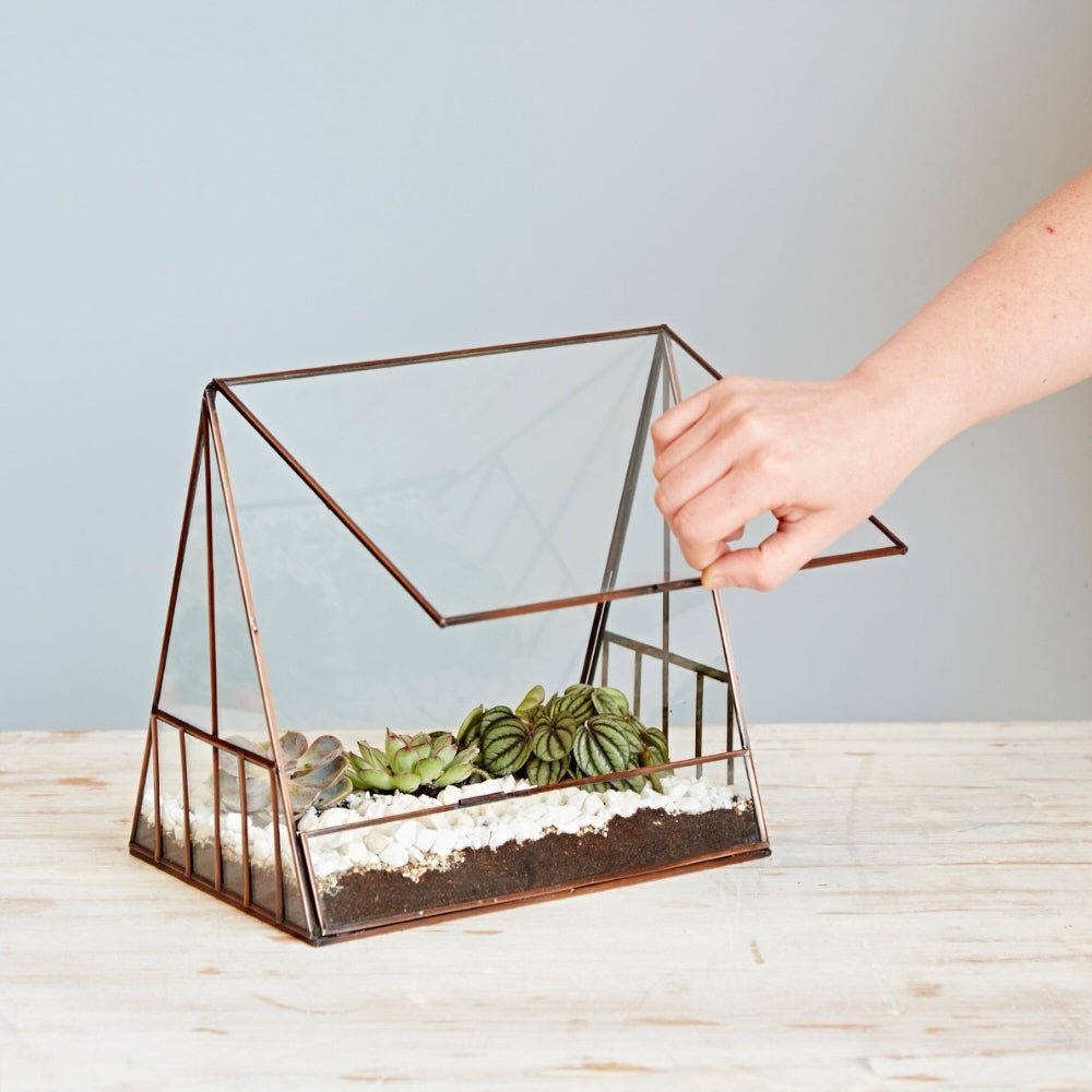 greenhouse succulent terrarium