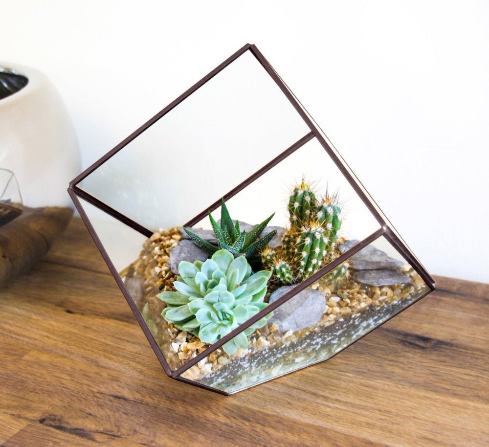 Glass Cube Terrarium planters