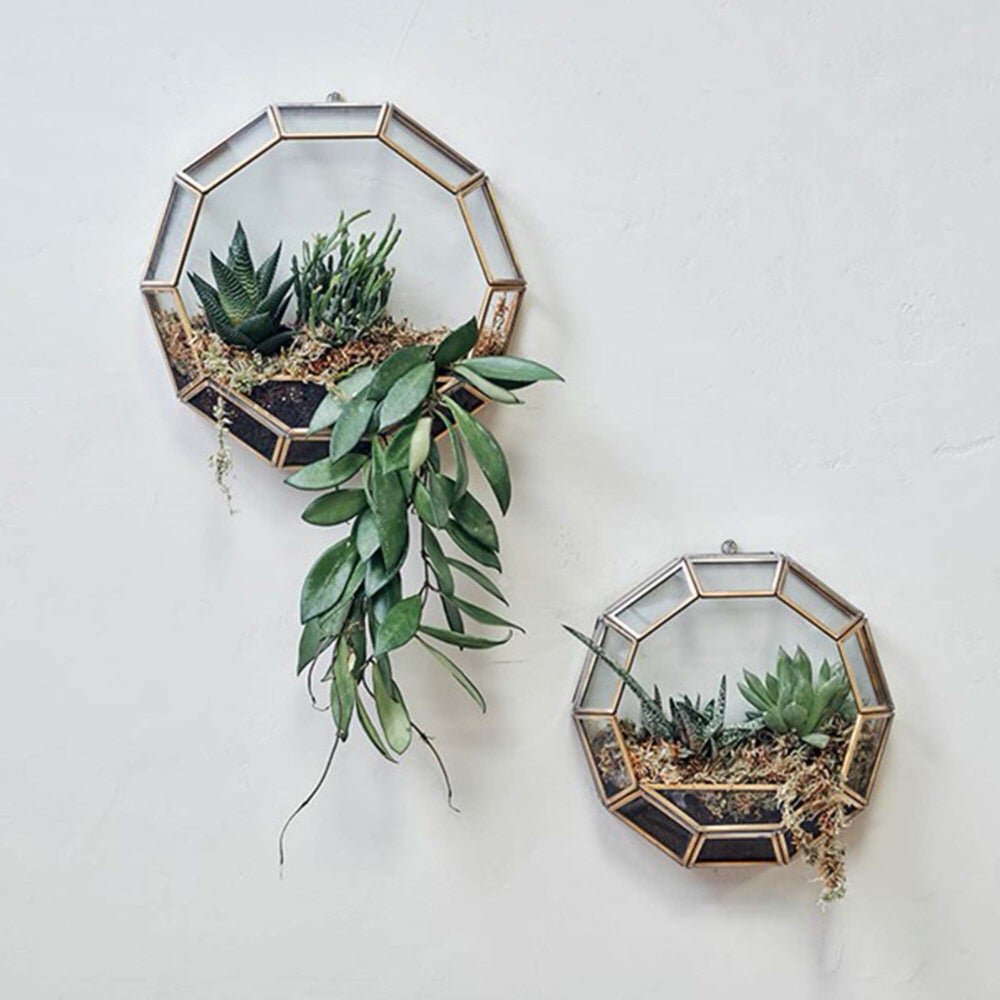 wall mounted terrarium planters