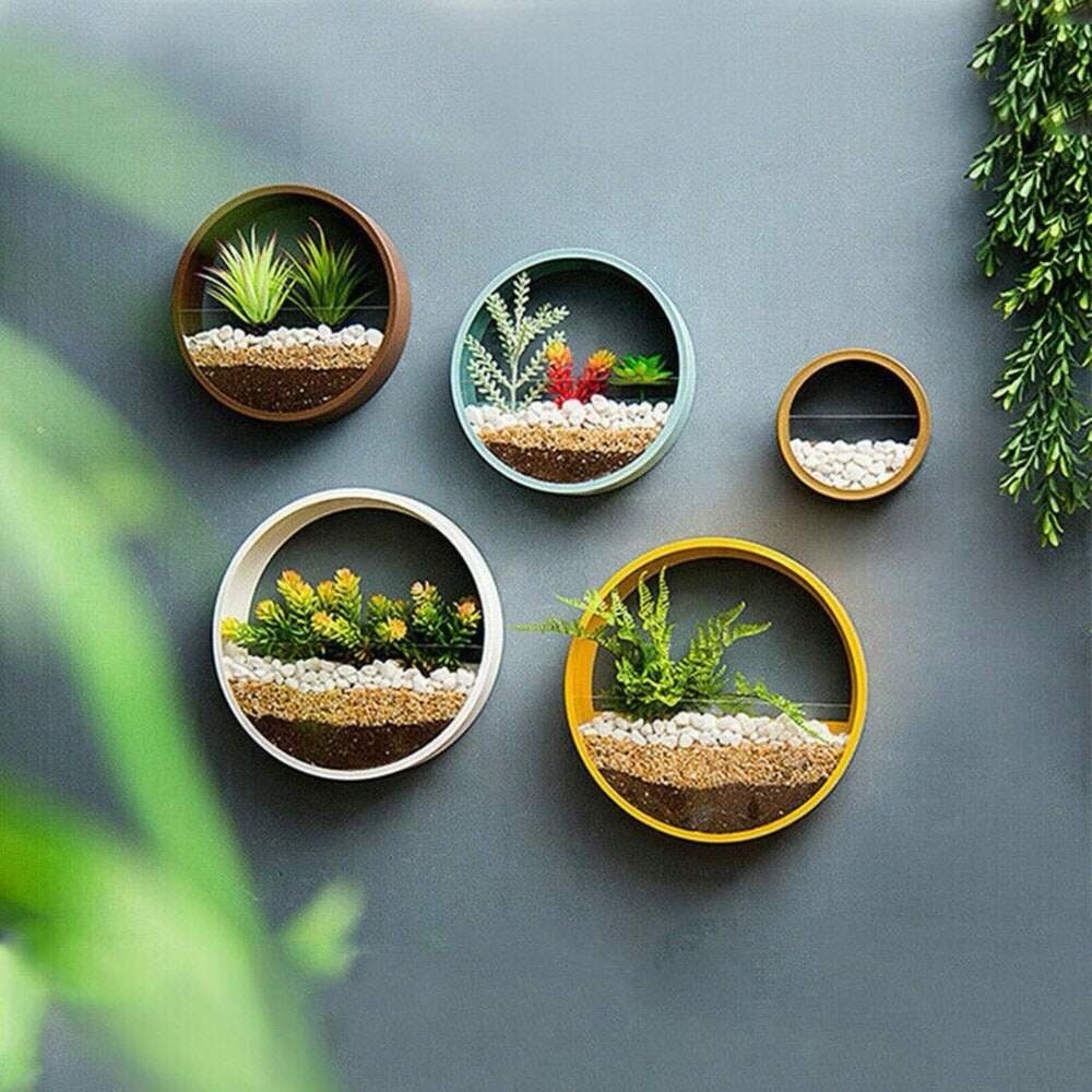 round terrarium planters