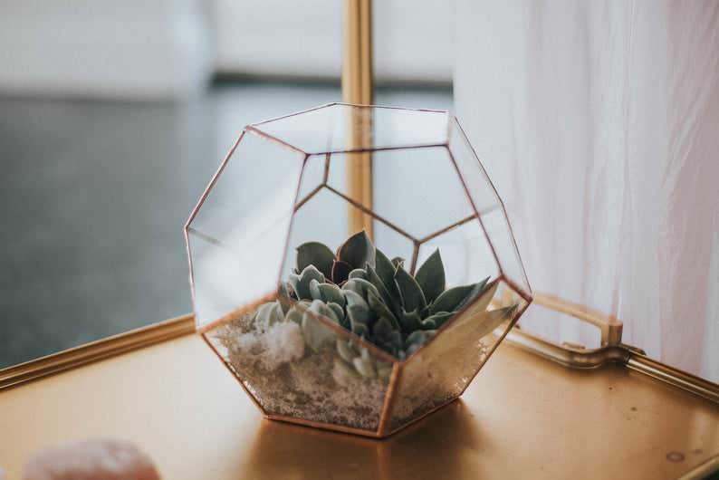 10 Amazing Glass Terrarium Planters to Add More Greenery to your Home