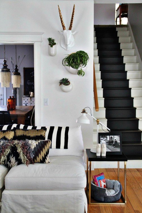 House plants on a white wall