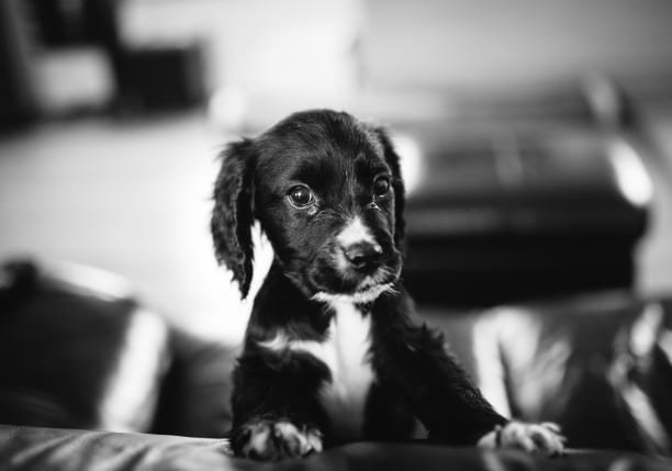 MyPhotoSchool Adobe Lightroom Course