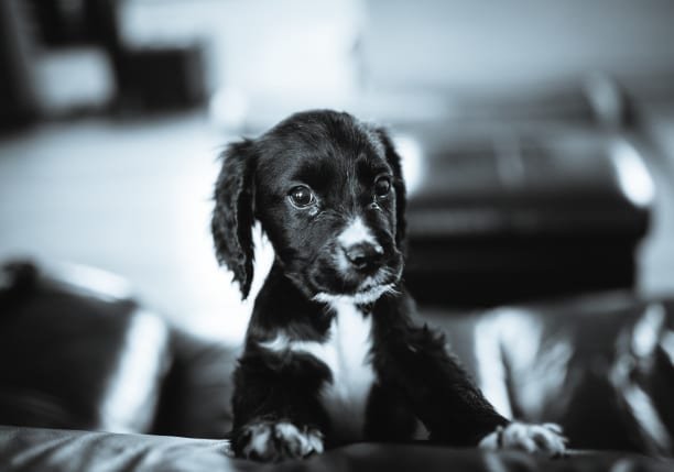 MyPhotoSchool Adobe Lightroom Course