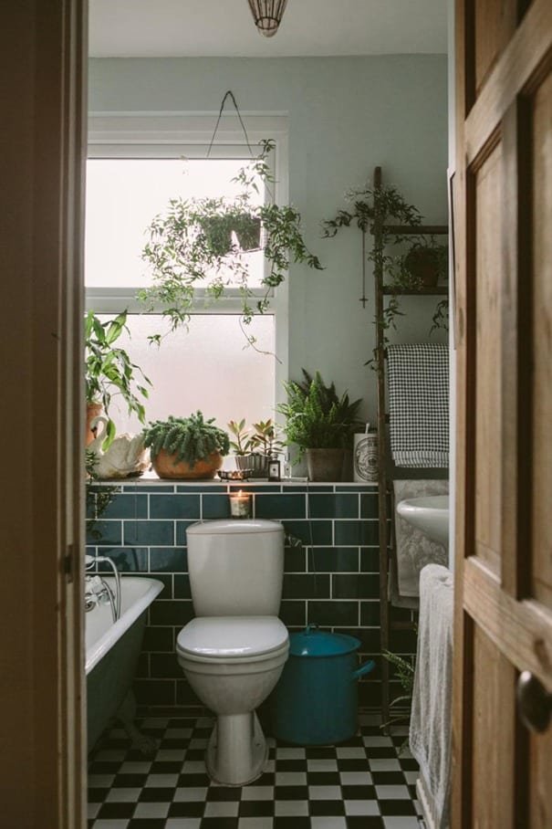 Homes with House Plants, house plants in a bathroom