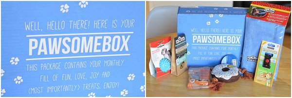pawsomebox review