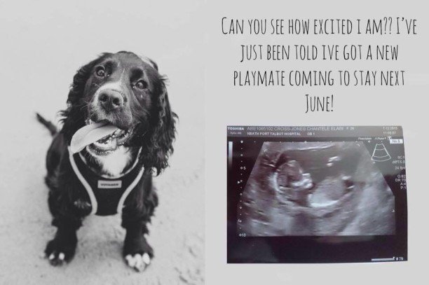 Happy New Year &ndash; We&rsquo;re back and we have news!