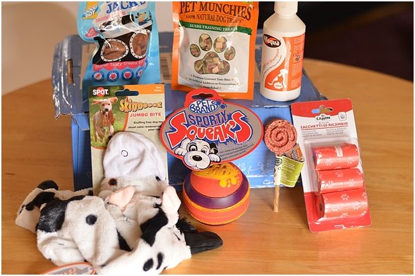 Pet Subscription box