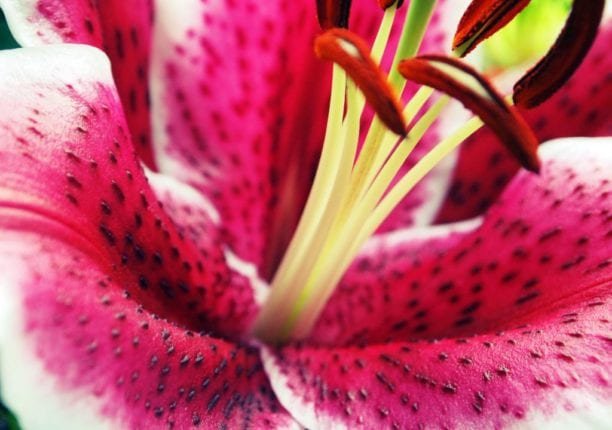 things to photograph