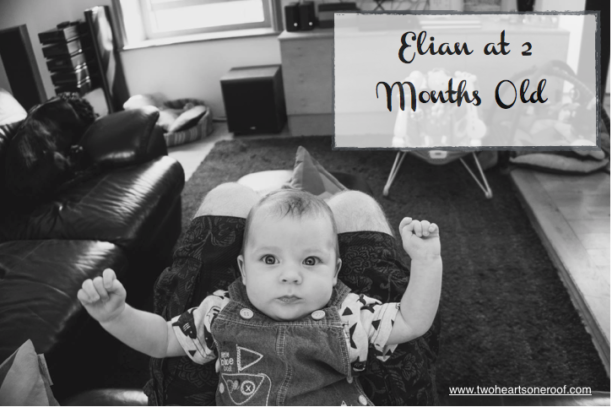 Little Dude at 2 Months old