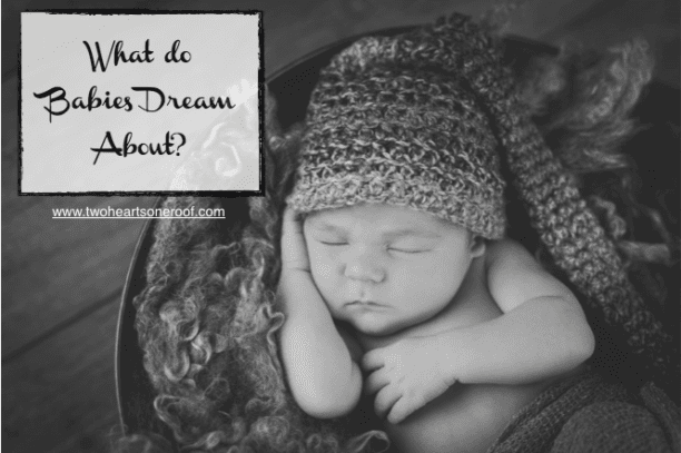 What do Babies Dream About?