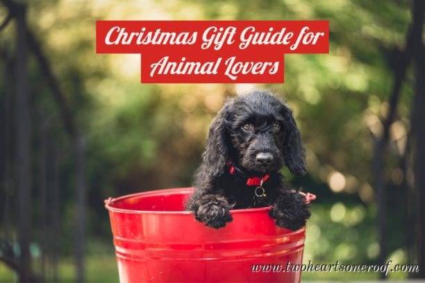 Christmas Gift Guide – Gift Ideas for Animal Lovers