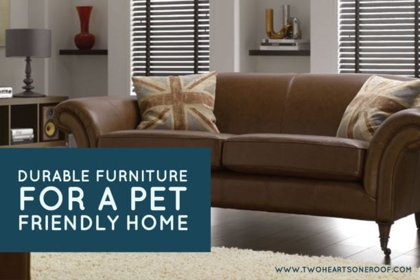 Durable Furniture for a Pet Friendly Home