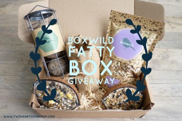12 Days of Christmas Giveaway – Day 6 Boxwild Fatty Box for Birds