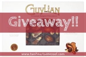 12 Days of Christmas Giveaways &ndash; Day 9 Luxury Guylian Chocolate Giveaway!