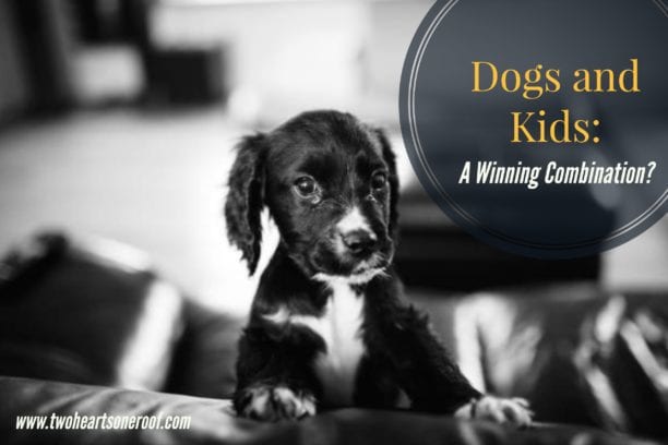 Dogs And Kids: A Winning Combination?