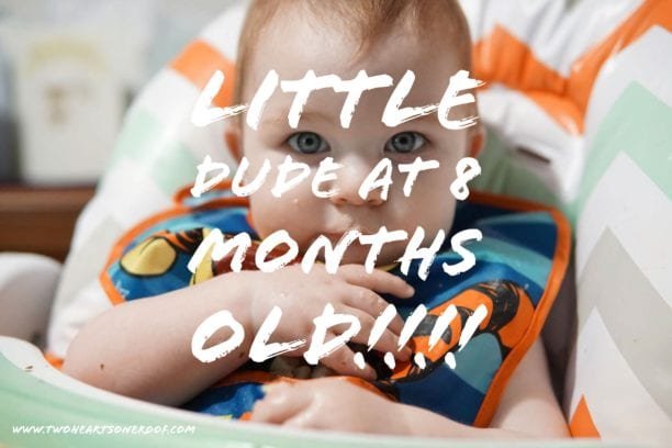 elian at 8 months old