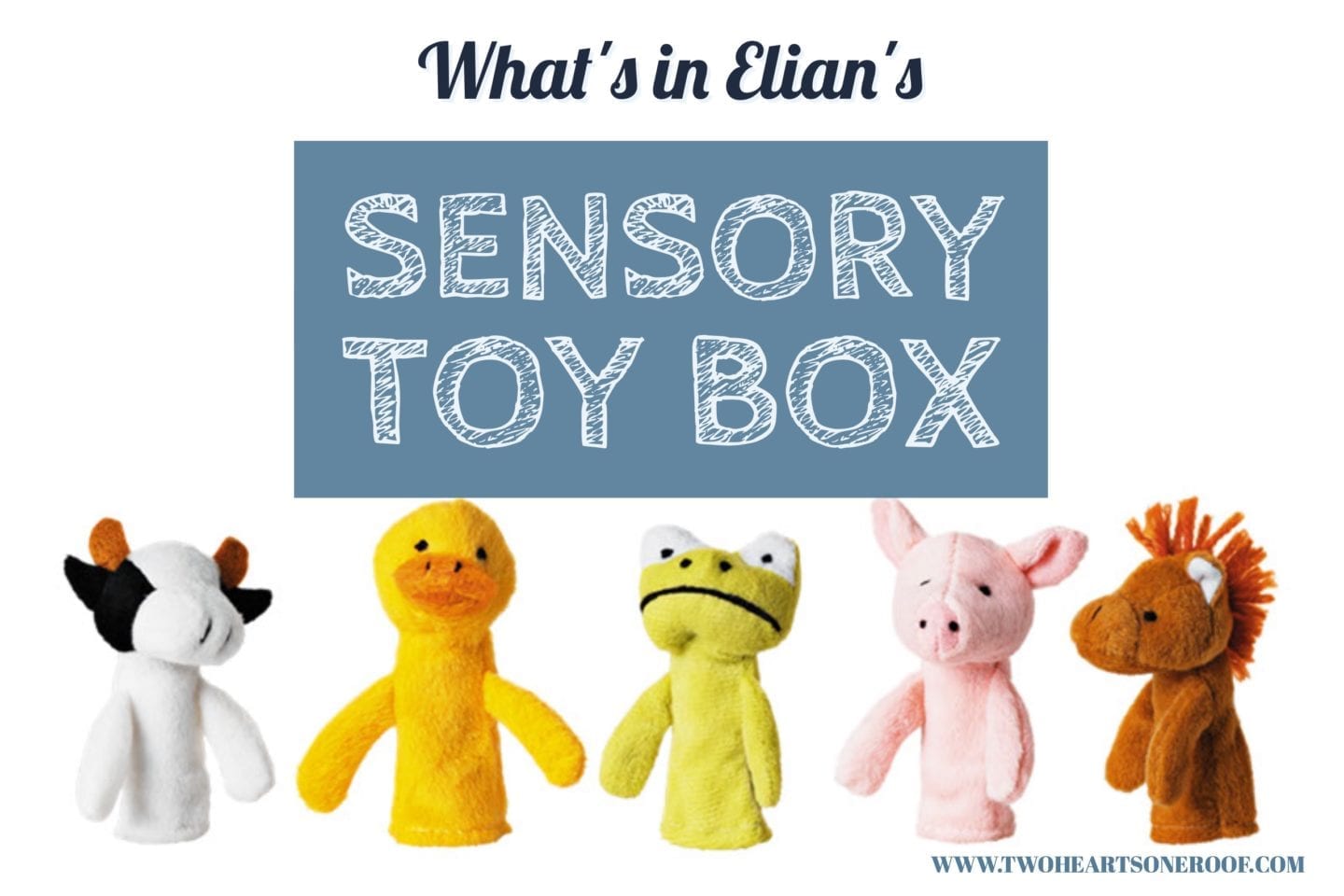 Whats in our Sensory Toy Box