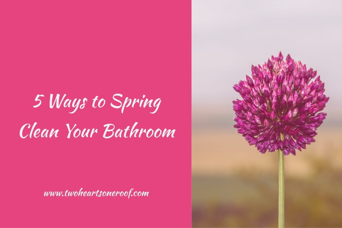 5 Ways To Spring Clean Your Bathroom