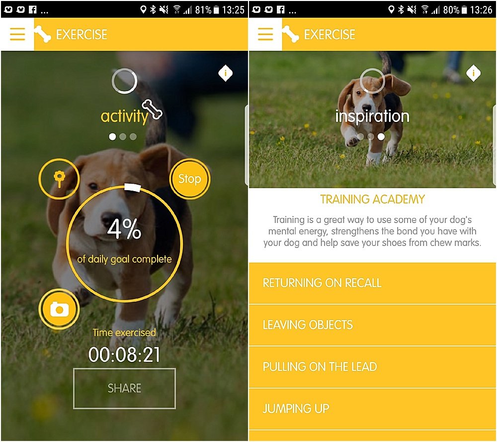 pedigree tracks app - dog fitness app