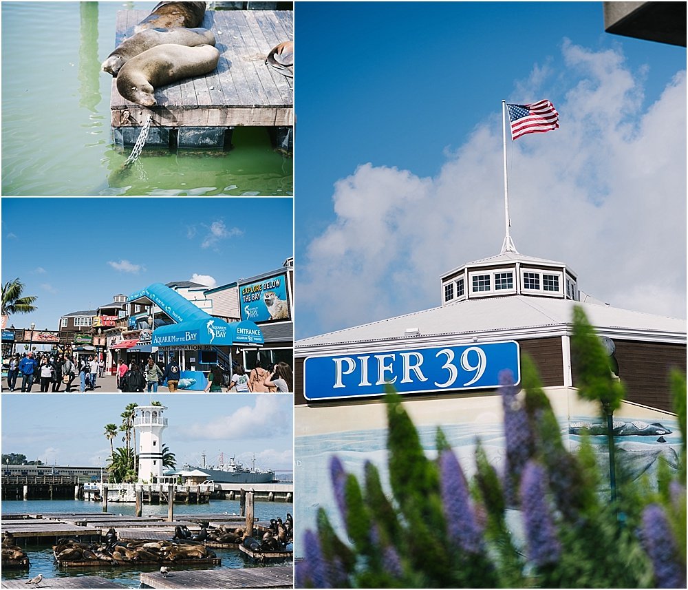 places to visit in San Fransisco with kids - pier 39