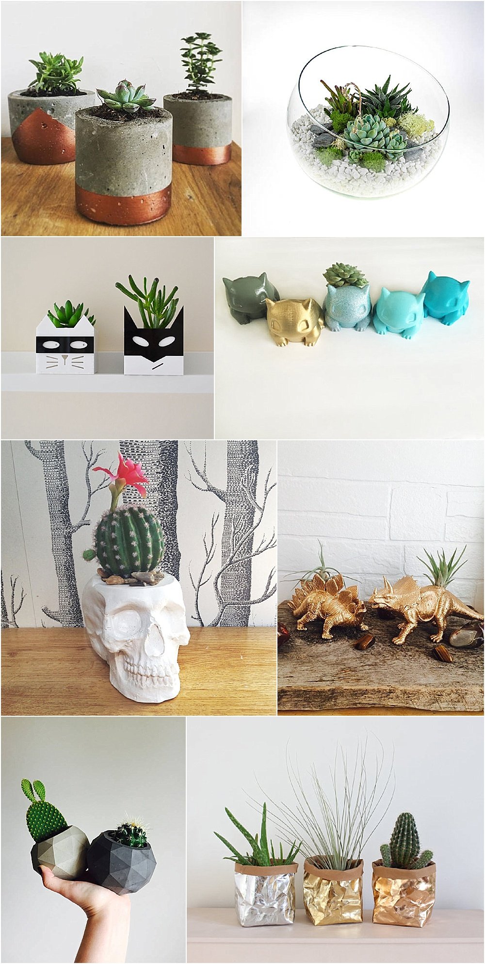 Are Succulents the New Flowers? - Cute Succulent Planters