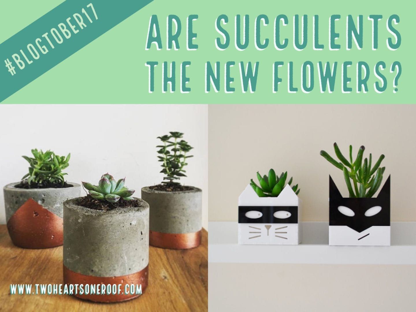 Are Succulents the New Flowers? – Blogtober 17