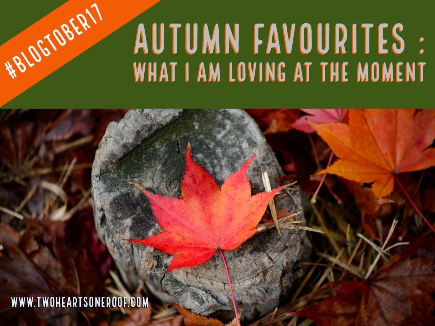 Autumn Favourites – What I am Loving At The Moment