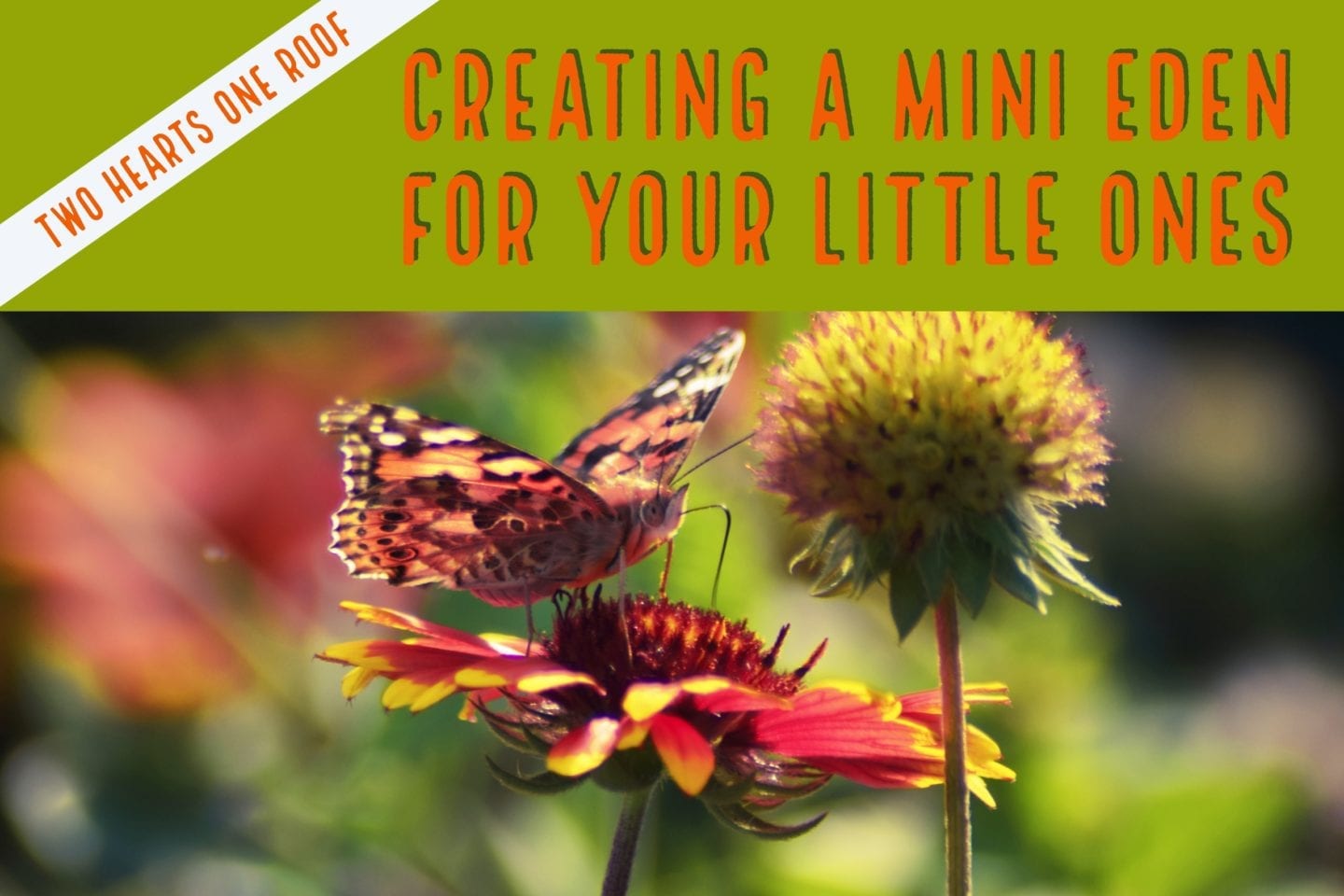 Creating a Mini Eden for Your Little Ones to Learn and Explore