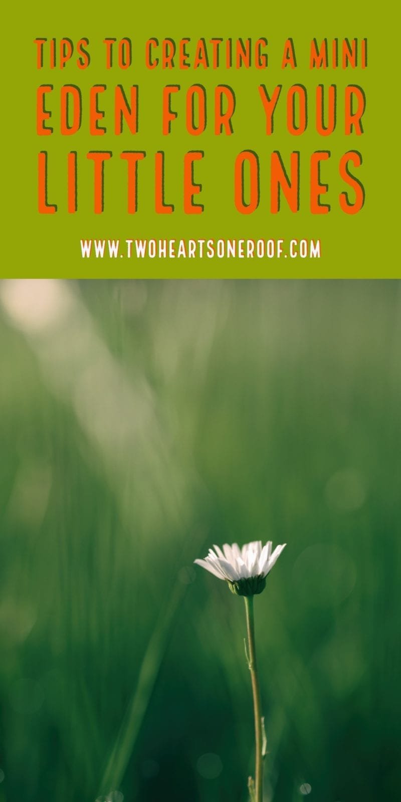 Tips for growing a kids garden