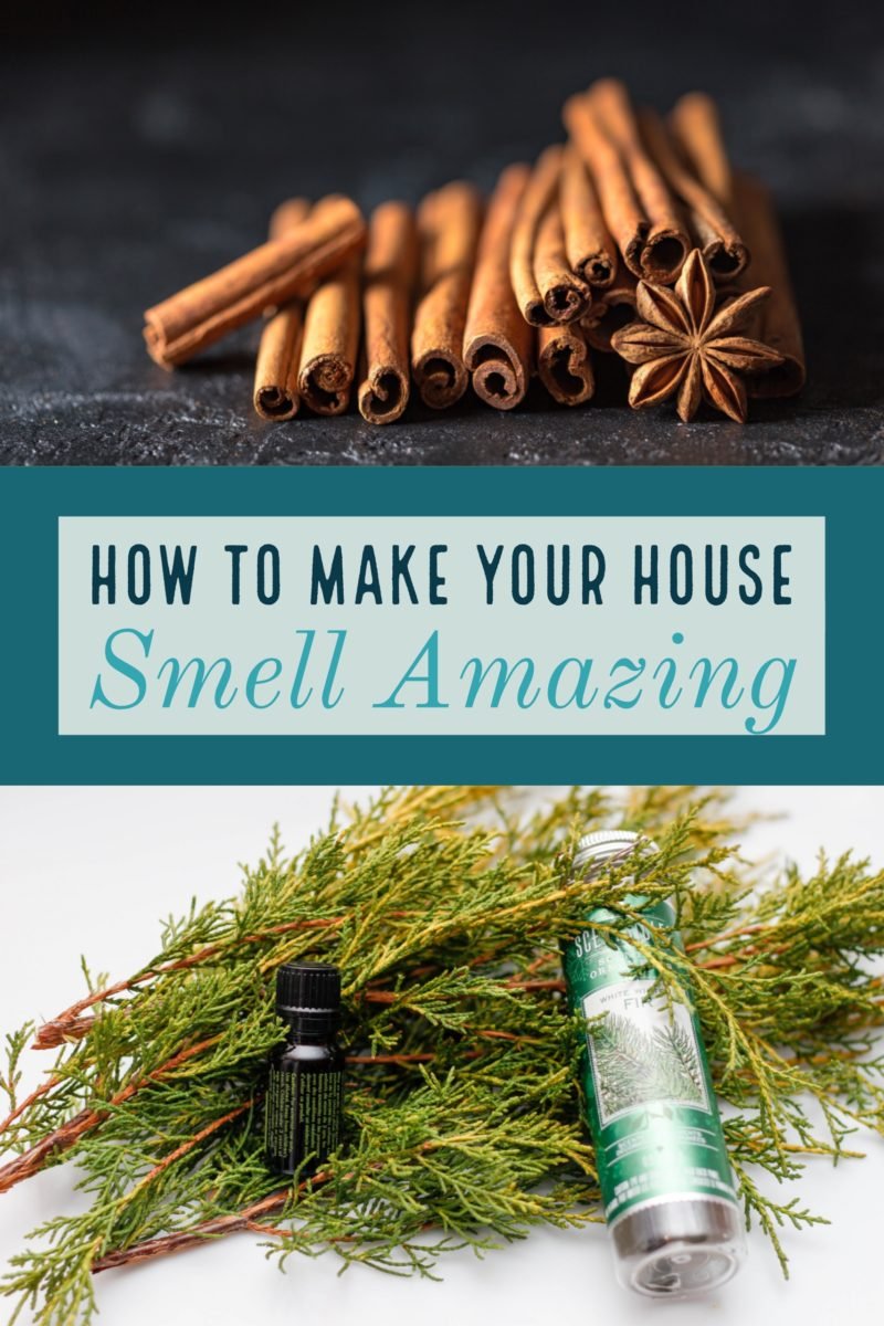 Tips to get rid of bad odours in your home