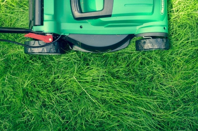 Tips to maintain your garden - Moving the grass