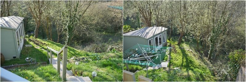 Summer Gardening Tips for Beginners