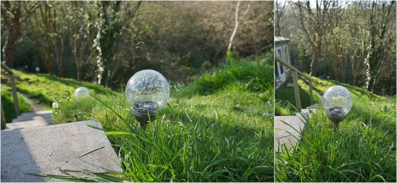 Summer Gardening Tips for Beginners