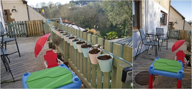 Summer Gardening Tips for Beginners