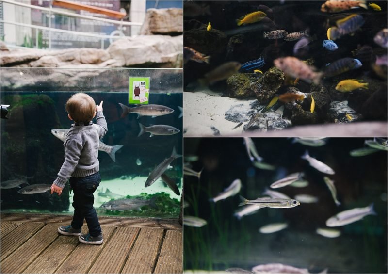 A Day at Bristol Aquarium - Family Friendly Places to Visit in Bristol