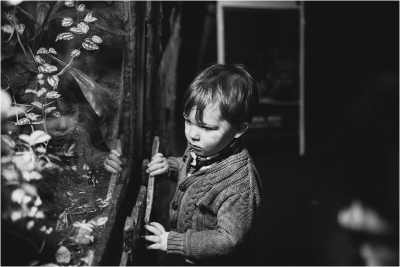 A Day at Bristol Aquarium - Family Friendly Places to Visit in Bristol