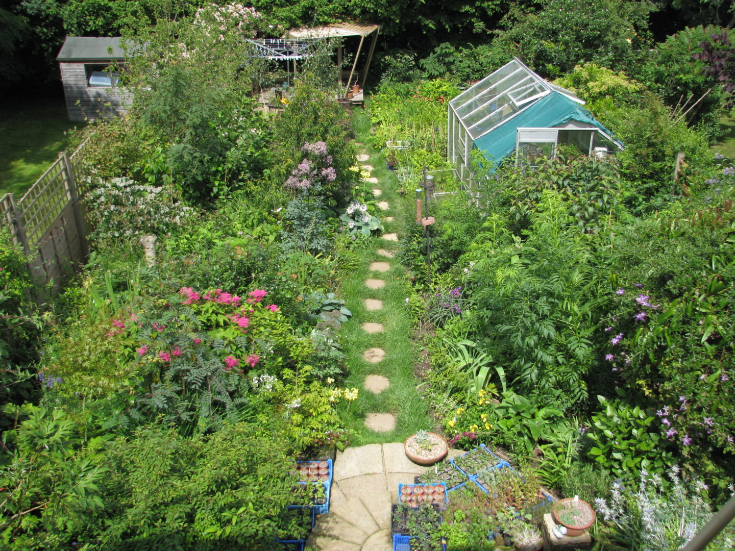 A Guide to Creating a Modern Garden
