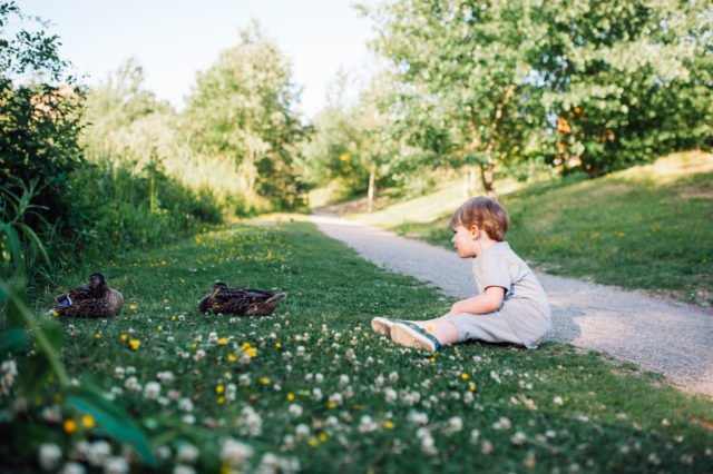 Bluestone national park wildlife