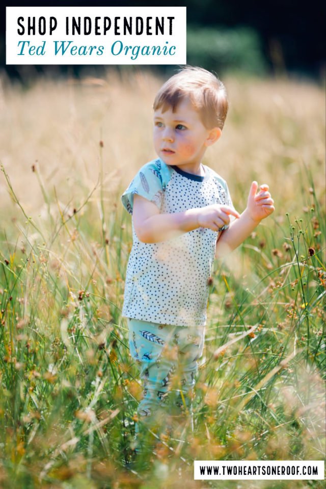 Organic childrens clothing brand - ted wears organic