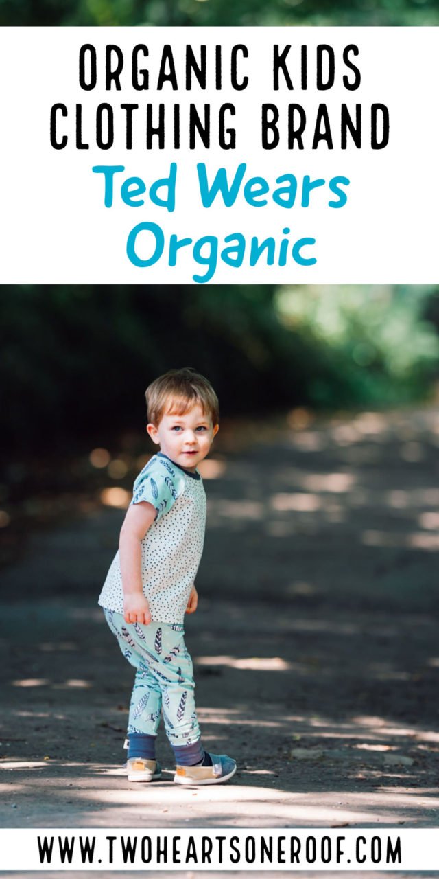 Organic toddler clothing - boys fashion