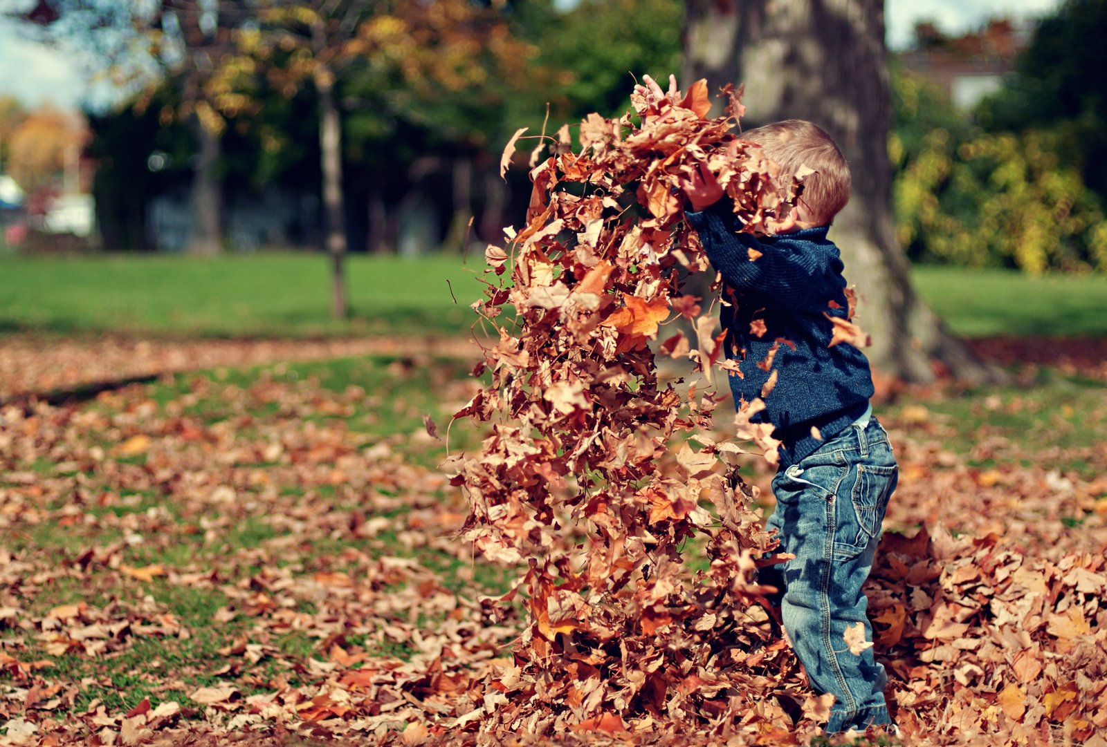 family friendly things to do in the autumn - Kids autumn activities