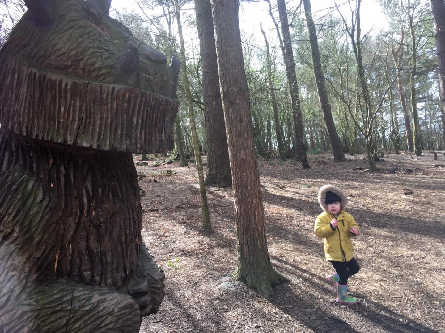 Travel // Top 5 Family Friendly Places to Visit in West Lancashire