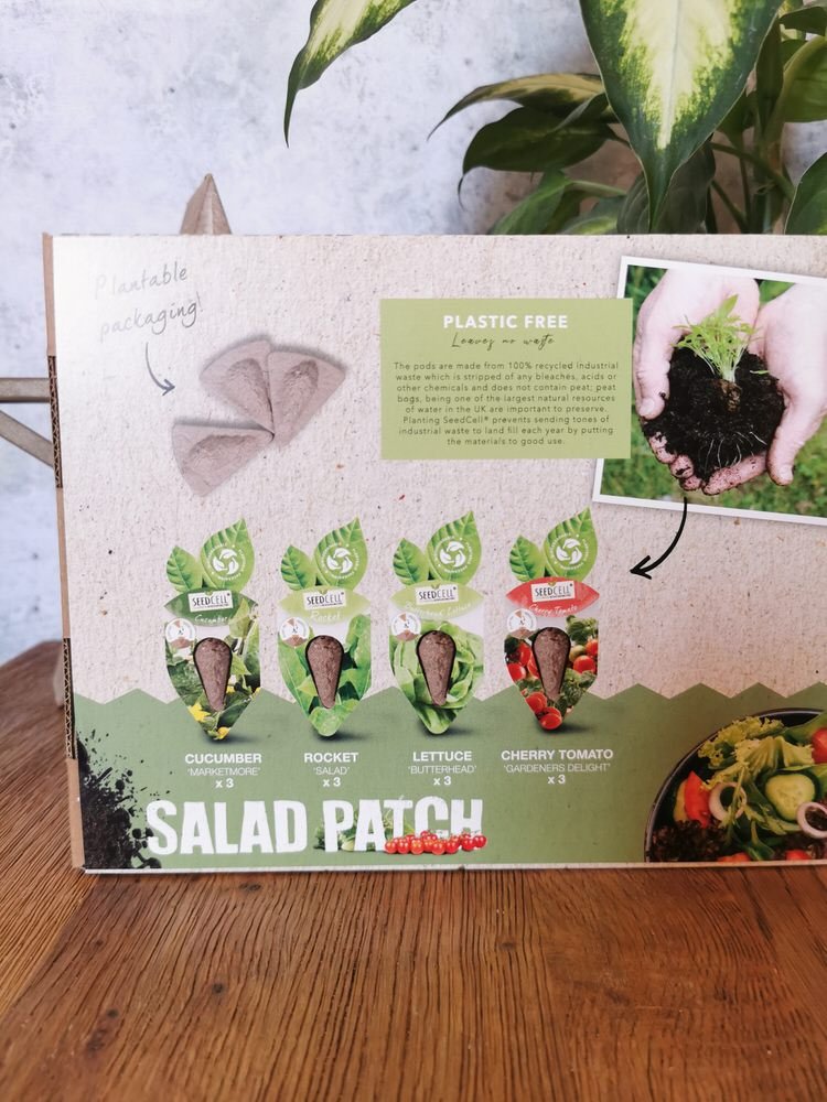 Garden Seed Gift Box for Fathers Day