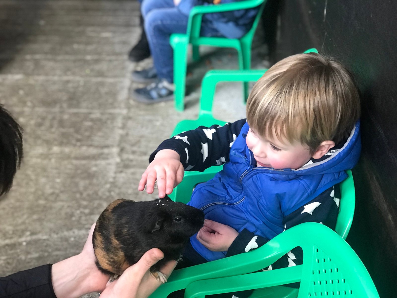 family friendly places to visit in west Lancashire - Windmill Animal Farm