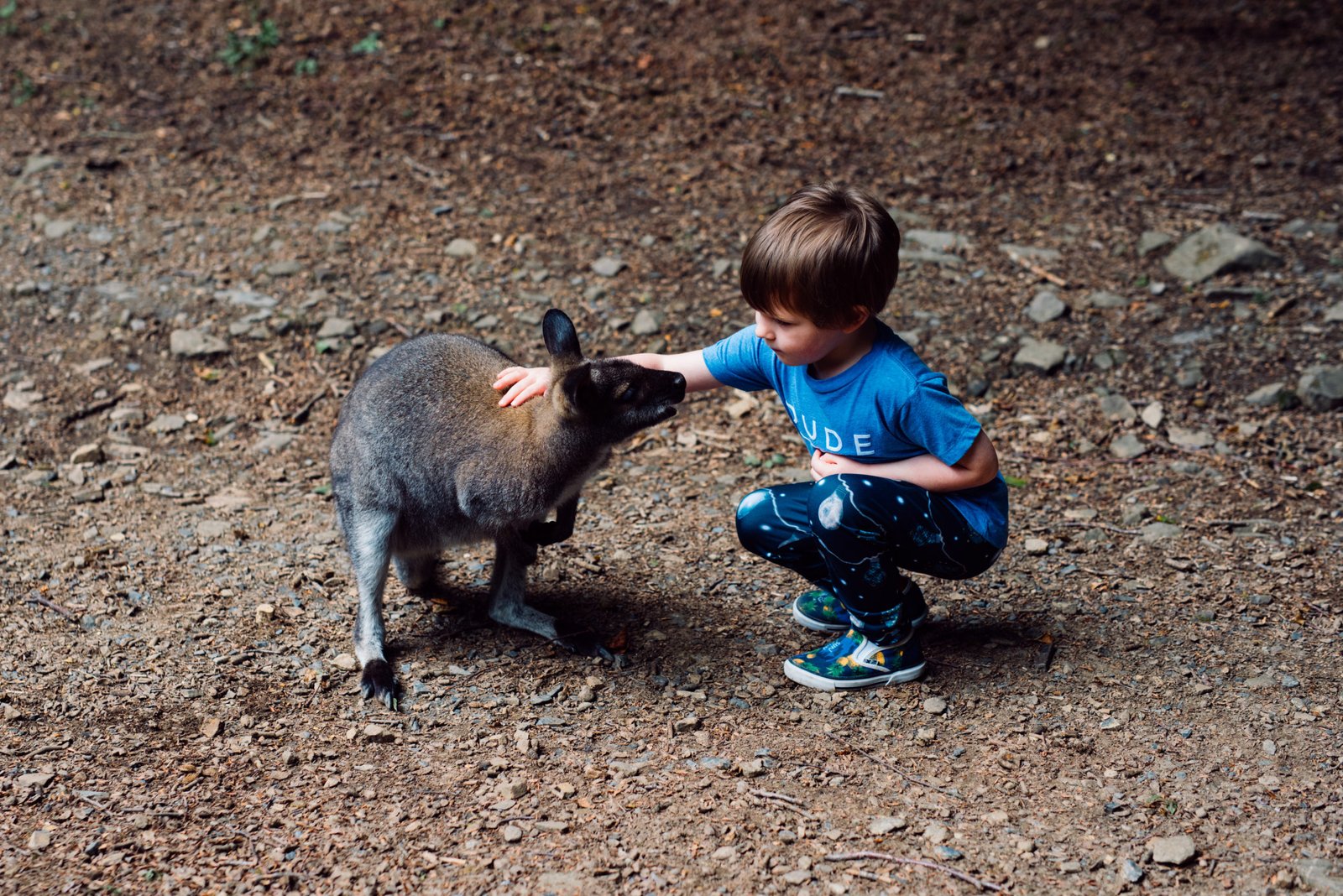 Tips for Taking a Secluded Family Friendly Break in Cornwall