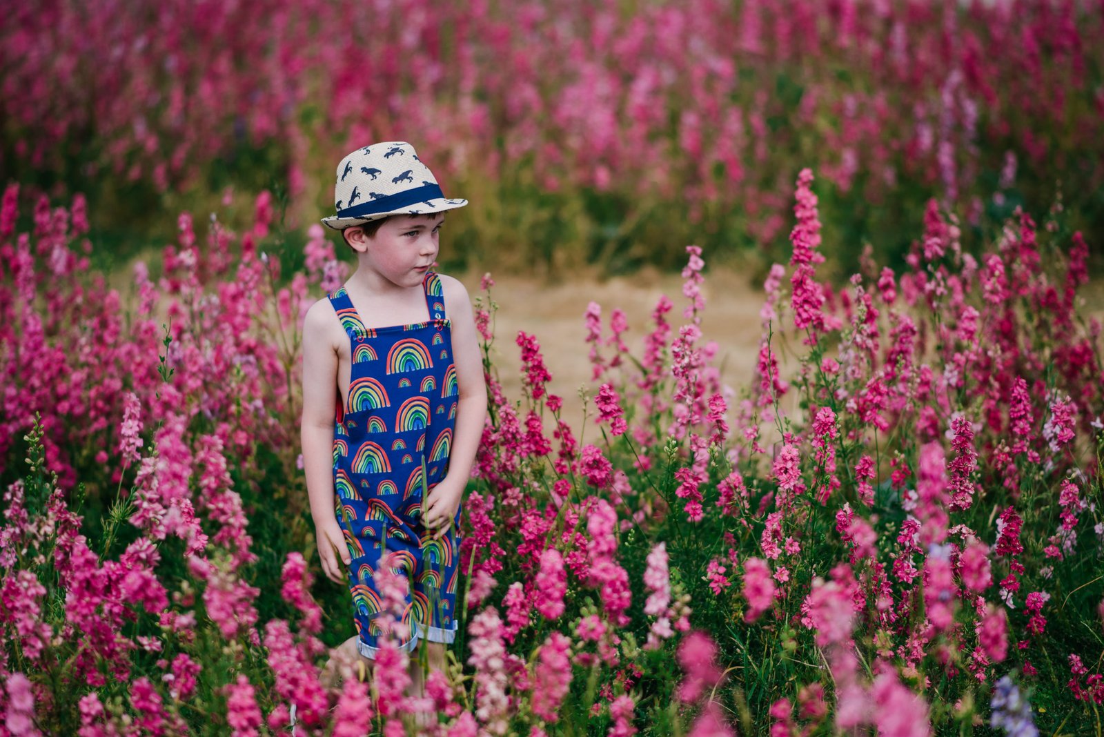 wild flower fields in the uk