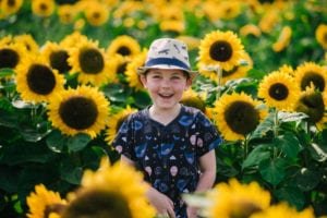 The Real Petal Confetti Flower Fields