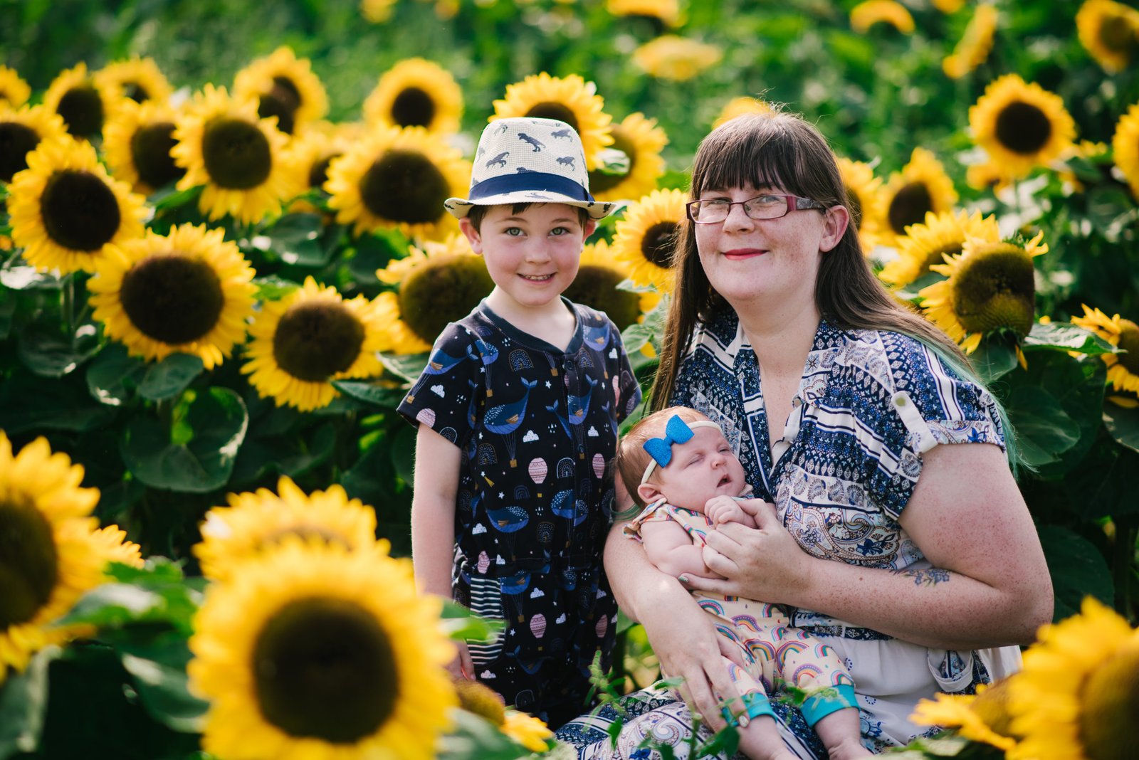 sunflower fields in the uk